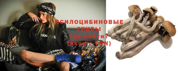 стафф Белоозёрский