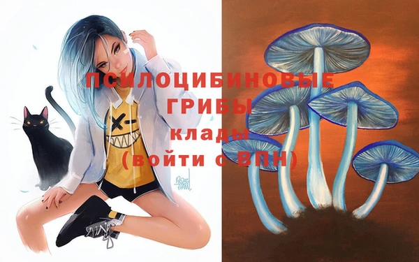 jwh Белокуриха