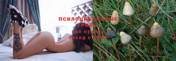 jwh Белокуриха