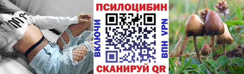 Псилоцибиновые грибы Cubensis сайты даркнета клад Берёзовка