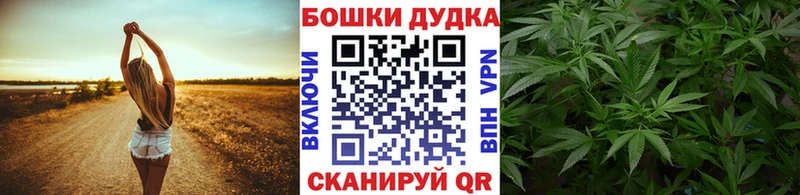 Бошки Шишки индика  Берёзовка 